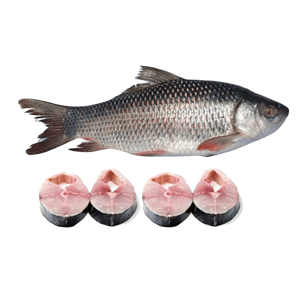 River’s Black Rui / Rohu Fish (নদীর কালো রুই মাছ)