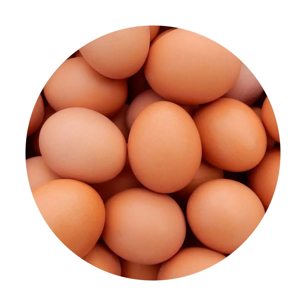 Safe Egg (নিরাপদ ডিম)